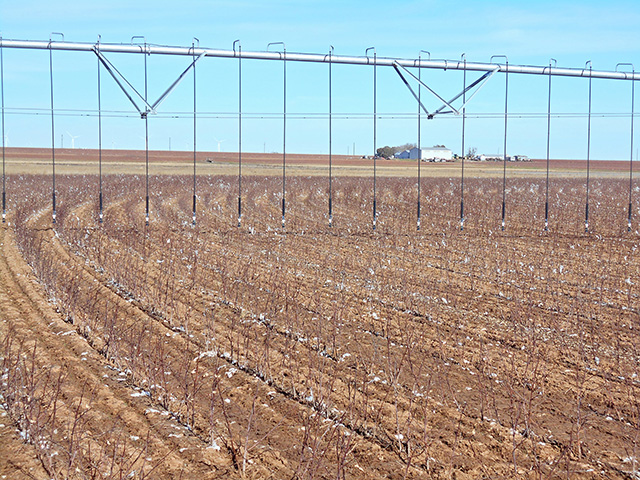 Adopting 40-inch spacing with LEPA drops dramatically improves Lloyd Arthurâ€™s irrigation applications and generates additional pounds of lint on his 2,000-acre cotton farm, near Ralls, Texas, Image by Lloyd Arthur